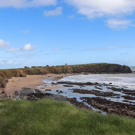 Wheatfield * Fethard-on-Sea