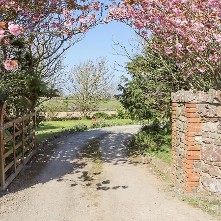 Wheatfield * Fethard-on-Sea