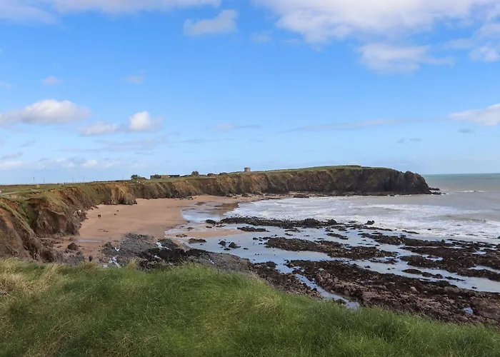 Wheatfield * Fethard-on-Sea