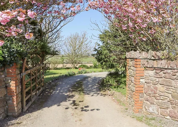 Wheatfield * Fethard-on-Sea